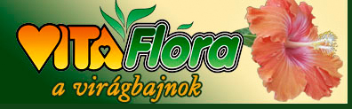 VitaFlora a virĂĄgbajnok